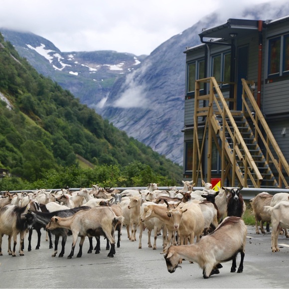 Meet your Posher, W - Picture 7 of 11